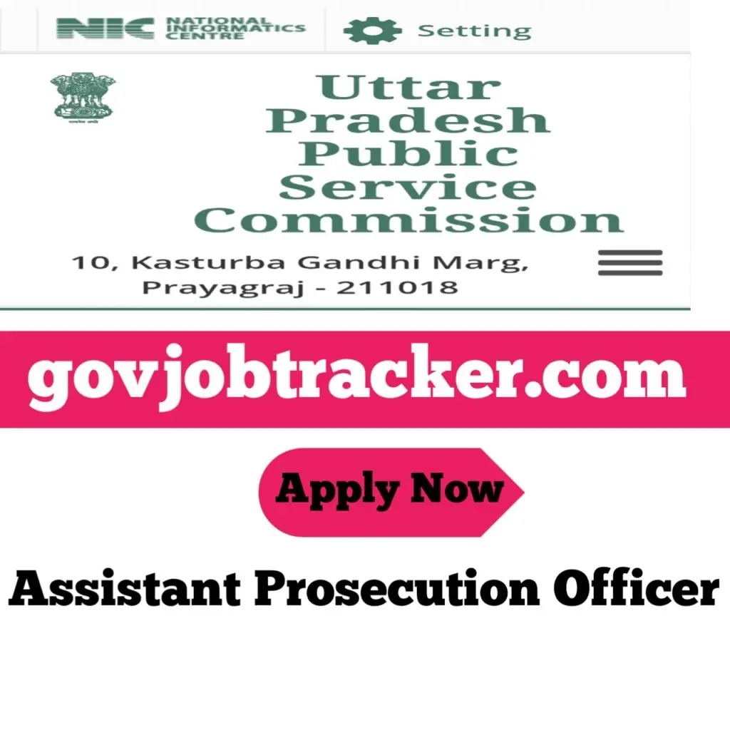 Assistant Prosecution Officer APO